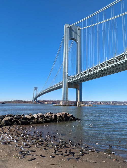 NYC_2024-02-05 10-25-11_PXL_20240205_152511083